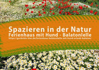 Urlaub mit Hund am Balaton? Ferienhaus in Balatonlelle mit Grillplatz, Spazierwegen & Nähe zum See. Ideal für Hundebesitzer.